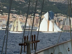 IMG_8155